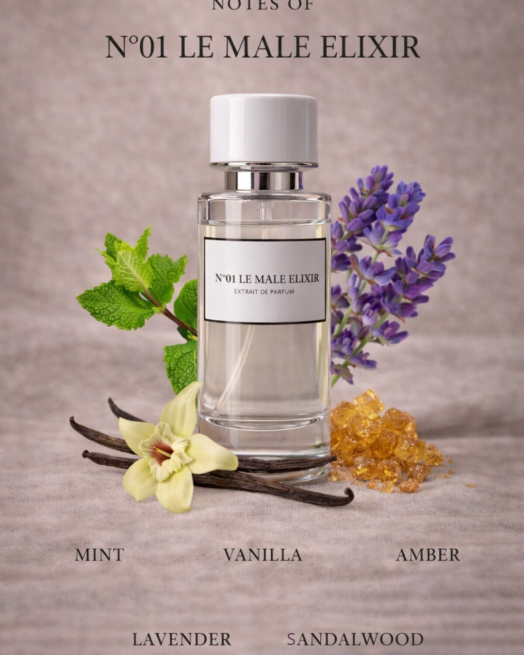 N°01 LE MALE ELIXIR